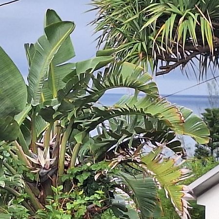 L'Etoile Du Piton Villa Saint-Joseph Eksteriør bilde